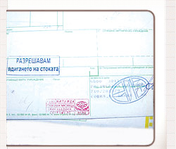 Customs Agents
