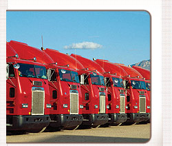 Domestic Transport